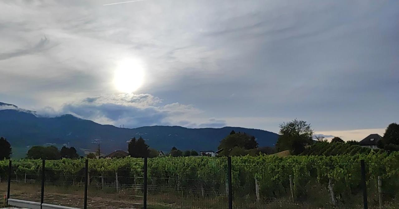 Chambre Au Coeur Des Vignes Myans Eksteriør billede